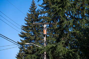 Wooden telephone and power line utility pole, including LED streetlight and rusty transformer,...