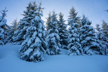 Winterlandschaft im Tannheimer Tal