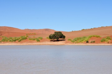 Wasser im Sossusvlei