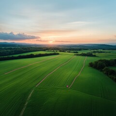 Aerial View of Green Fields at Sunset