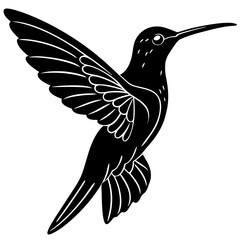 hummingbird black silhouette vector, Simple silhouette Design vector icon with white background. Wild Animal Vector. Bird Vector 