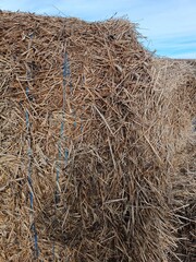 round rectangular large Hay bale roll on field. Stack of straw. blue sky sunny day farm animals feeding countryside