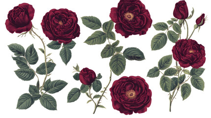 Deep red roses set with green leaves