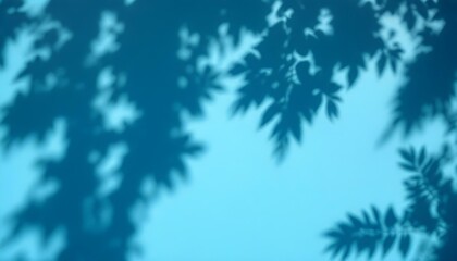 Una pared azul con sombras de hojas