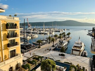 port of tivat, Montenegro filled with yachts and boats 