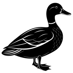 mallard duck black silhouette vector, Simple silhouette Design vector icon with white background. Wild Animal Vector. Bird Vector 