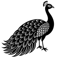 peacock bird black silhouette vector, Simple silhouette Design vector icon with white background. Wild Animal Vector. Bird Vector 