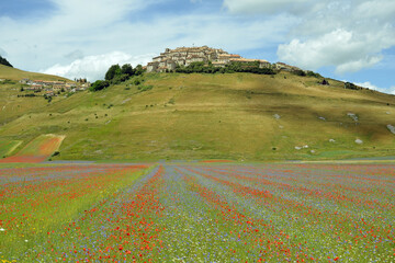 Castelluccio di Norcia, prima del terremoto, 2016