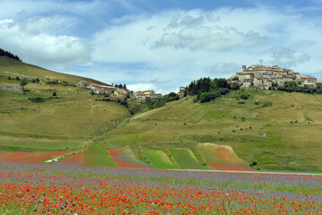 Castelluccio di Norcia, prima del terremoto, 2016