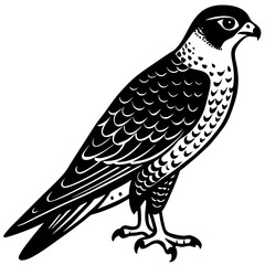 peregrine falcon bird black silhouette vector, Simple silhouette Design vector icon with white background. Wild Animal Vector. Bird Vector 
