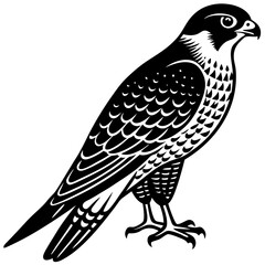 peregrine falcon bird black silhouette vector, Simple silhouette Design vector icon with white background. Wild Animal Vector. Bird Vector 