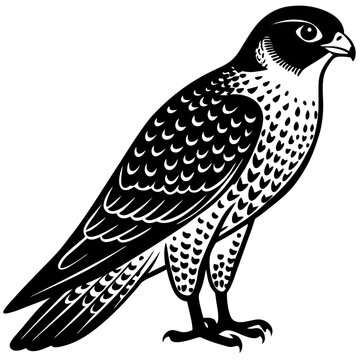 recommend clip art: peregrine falcon bird black silhouette vector, Simple silhouette Design vector icon with white background. Wild Animal Vector. Bird Vector 