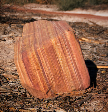 Vibrant Striped Rock in Desert Setting. Close-up of a uniquely striped rock with rich red, orange, and brown tones, sitting amidst dried plant debris in a sunlit desert landscape.