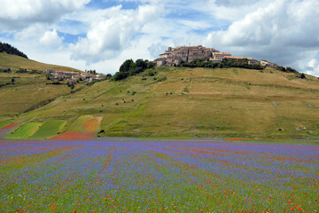Castelluccio di Norcia, prima del terremoto, 2016
