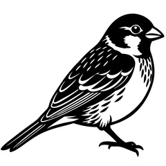 sparrow bird black silhouette vector, Simple silhouette Design vector icon with white background. Wild Animal Vector. Bird Vector 