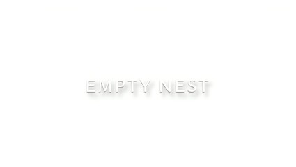Text design representing the phrase Empty Nest on a plain background