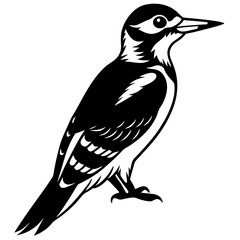 woodpecker bird black silhouette vector, Simple silhouette Design vector icon with white background. Wild Animal Vector. Bird Vector 
