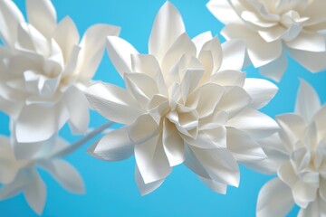 A close-up view of a beautiful bouquet of white flowers, perfect for editorial or commercial use in various contexts