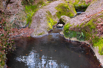 Moss-covered stones along the forest stream