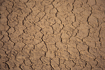 Dry soil cracked after dry water.