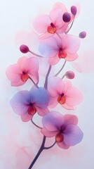 Fototapeta premium Elegant and Captivating Artistic Composition of Orchids with Soft Watercolor Backgrounds for Creative Studio Displays or Unique Gift Items