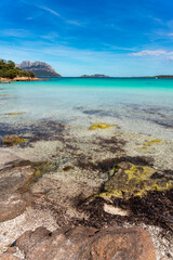 Crystalline sea on the beach of Porto Istana, Olbia, Costa Smeralda, Sardinia, Italy