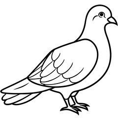 Dove Bird Vector Illustration – Cartoon, Clipart & Line Art Design on White Background, Dove bird vector clipart in cartoon, line art, and illustration style on a white background.