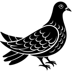 Dove Bird Vector Illustration – Cartoon, Clipart & Line Art Design on White Background, Dove bird vector clipart in cartoon, line art, and illustration style on a white background.