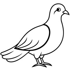 Dove Bird Vector Illustration – Cartoon, Clipart & Line Art Design on White Background, Dove bird vector clipart in cartoon, line art, and illustration style on a white background.