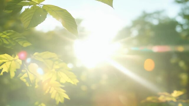 Sunlight shining green tree leaves swaying breeze creating beautiful natural background soft bokeh effects 4K