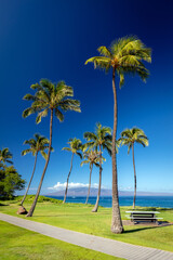 Kahekili beach park in west Maui