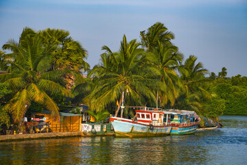 Colorful fishing boats on Negombo Lagoon, Colombo, Sri Lanka, Asia