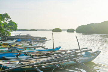 Colorful fishing boats on Negombo Lagoon, Colombo, Sri Lanka, Asia