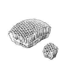 Vector hand-drawn illustration of honeycomb. Black and white sketch of honey comb. Beekeeping.
