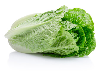 Fresh green romaine Lettuce isolated on white background