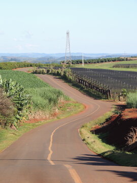 Country road in the countryside - Jandaia do Sul - Paran&aacute;