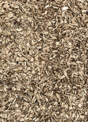 The image is a close-up of a pile of wood shavings. The wood chips are small and irregularly shaped, with a light brown color and a rough texture. They are arranged in a random pattern