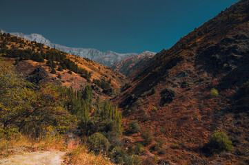 Autumn colorful view of a mountain paysage: colorful hills and mountains on a sunny day