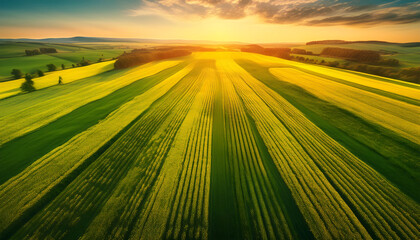 sunset over the field