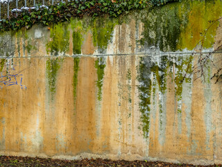 Feuchte und verschmutzte Betonwand