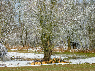 Landschaft im Winter © focus finder
