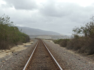 Train tracks on the coast