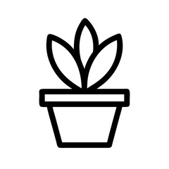 Plant / Potted Plant