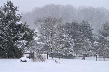 Winter landscape during a heavy snowfall - snowing in the country