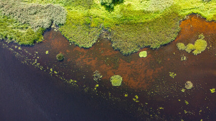 Aerial View of Marshy Wetlands with Green Vegetation and Water Patches