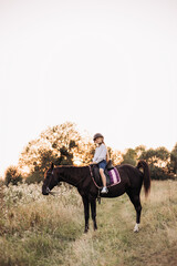 A Rider Positioned on a Majestic Black Horse Against the Beautiful Sunset in a Lush Meadow
