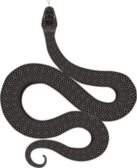 Snake. Outline vector illustration with reptile, viper. Symbol of the 2025 year.