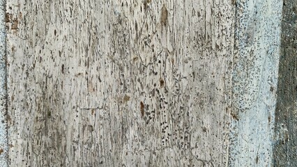 Obraz premium white rustic wood plank texture background. dirty old wood.