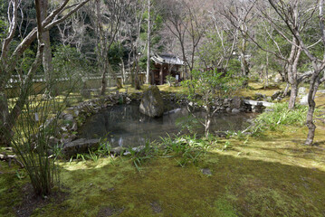 檀林寺　庭園　京都市右京区嵯峨