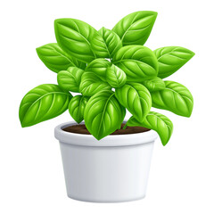 Cute Basil Plant with Aromatic Leaves in Simple Shape - Ideal for Cooking Enthusiasts and Gardening Enthusiasts